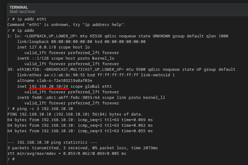 A screenshot of the terminal with output from the ip addr and ping commands
